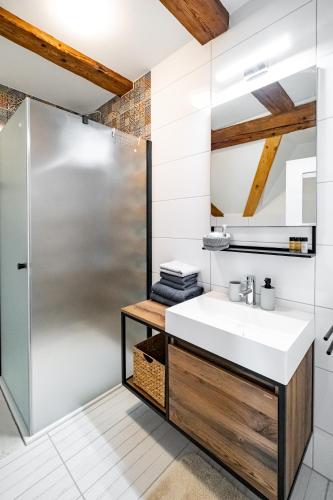 a bathroom with a sink and a shower at Kníže Ferdinand Apartments in Mikulov