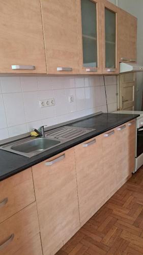 Kuchyň nebo kuchyňský kout v ubytování Gästehaus