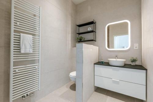 W łazience znajduje się umywalka, toaleta i lustro. w obiekcie House with large and sunny terrace w Antwerpii
