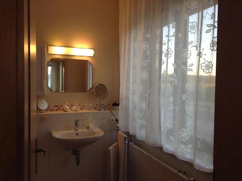y baño con lavabo y espejo. en Fewo Ferrara en Abensberg