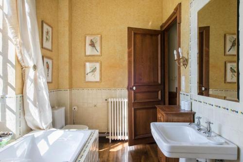 ein Badezimmer mit einem Waschbecken, einem WC und einem Spiegel in der Unterkunft Château Rieucazé in Rieucazé