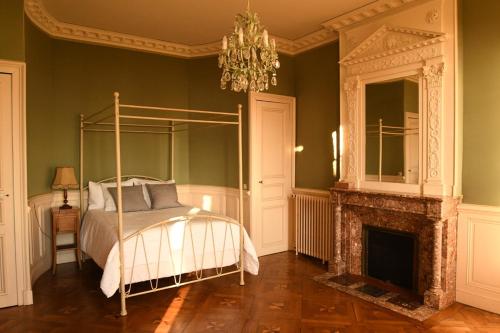 a bedroom with a bed and a fireplace and a chandelier at Château Rieucazé in Rieucazé