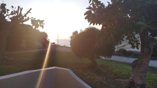 a view of a street with a tree and the ocean at Jupiter Sweet Apartments - Algarve - Praia Vale centeanes in Lagoa