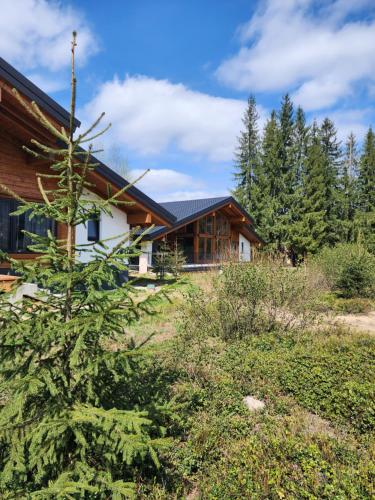 a house in the woods with a yard at MOKHY Chalet & Nature in Vorokhta