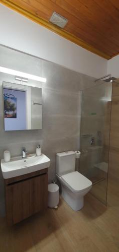 a bathroom with a toilet and a sink and a shower at Litochoro Appartment in Estate A2 in Litochoro