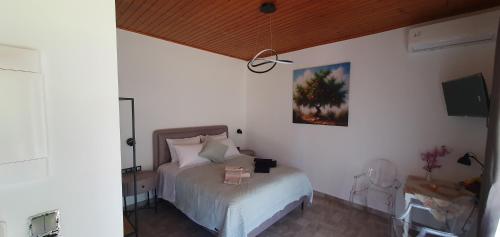 a bedroom with a bed and a tv on a wall at Hephaestus Appartments Litochoro - A2 in Litochoro