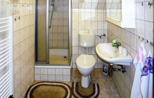 een badkamer met een toilet, een wastafel en een douche bij Amazing Apartment In Neuhermsdorf With Wifi in Neuhermsdorf
