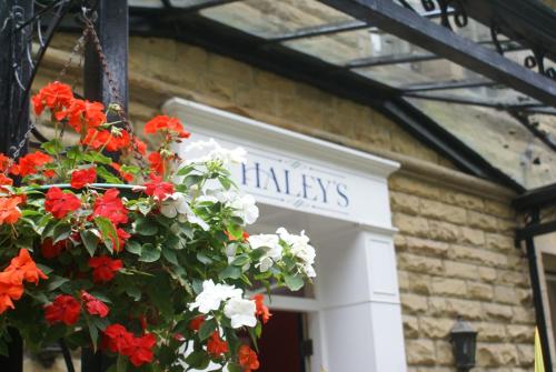 a flower pot with red and white flowers in front of a building at Haley's Hotel in Leeds