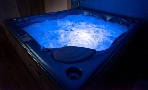 a blue bath tub with the earth in it at Hotel Schwarz in Nové Hamry