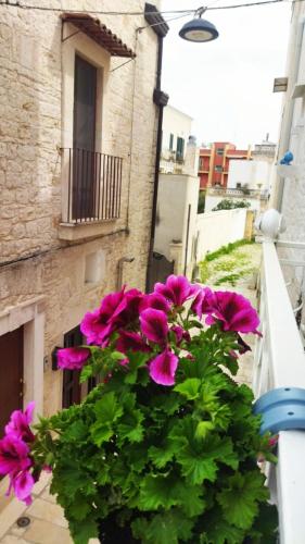 Gambar di galeri bagi Casa De Amicis 24 di Sammichele di Bari