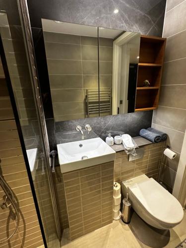 W łazience znajduje się umywalka, toaleta i lustro. w obiekcie Modern house in central London w Londynie