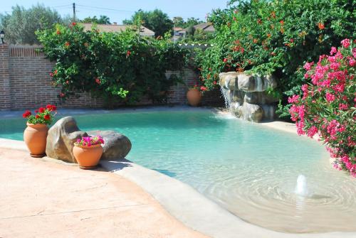 a swimming pool with flowers and plants in a yard at Casa Rural Dani Escalona in Toledo