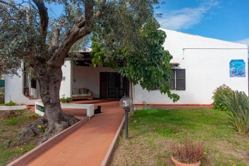 una casa con un árbol y un parquímetro en Sardinia Del Sud, en Porto Columbu - Perdʼe Sali
