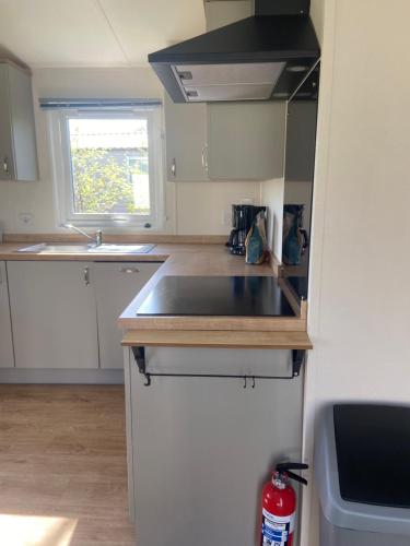 Billede fra billedgalleriet på Camping de Duinhoeve Chalet Vogel not for companies i Nieuw-Haamstede