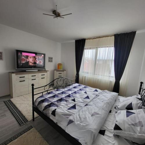 1 dormitorio con 1 cama y TV de pantalla plana en Prieteniei Nr. 11, en Rovinari