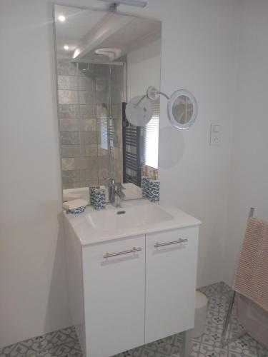 een witte badkamer met een wastafel en een spiegel bij Maison de charme L'hirondelle en Auvergne in Champs
