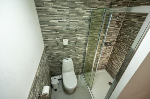 a bathroom with a toilet and a shower at Bowmore Apartment in Oban