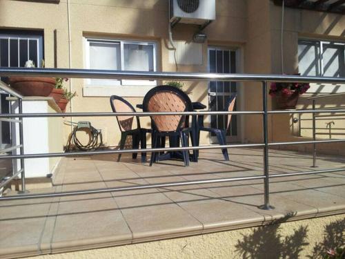 アパートメントの敷地内または近くにいる動物