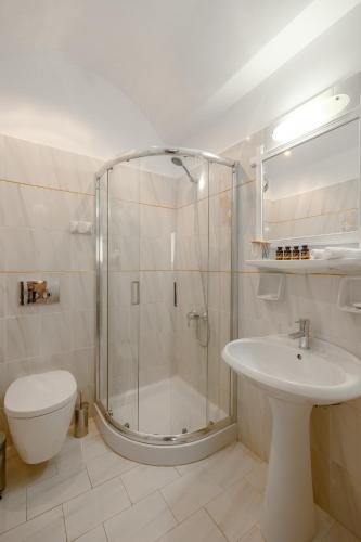 a bathroom with a shower and a toilet and a sink at Nevma Suites in Firostefani