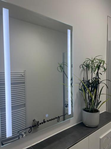 un miroir dans la salle de bains avec une plante en pot dans l'établissement Modernes Wohnstudio mit Balkon im Herzen von Bad Rothenfelde, à Bad Rothenfelde