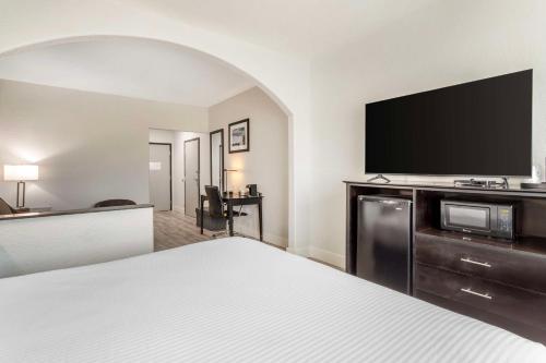 um quarto de hotel com uma cama e uma televisão de ecrã plano em Best Western Texas City I-45 em Texas City