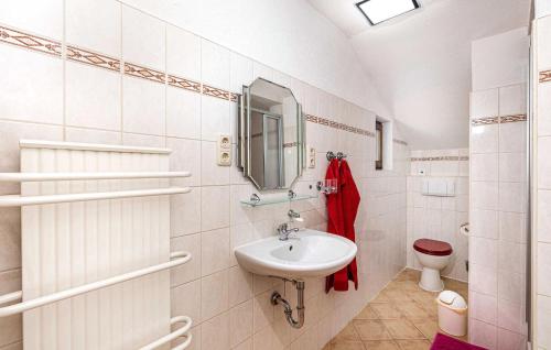 Gorgeous Home In Raschau-markersbach With Kitchen في Oberscheibe: حمام أبيض مع حوض ومرحاض