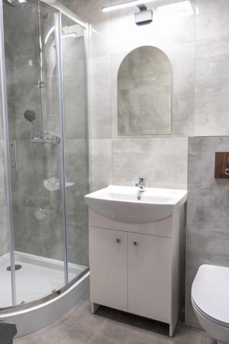 a bathroom with a shower and a sink and a toilet at Gwiazda Morza in Sianozety