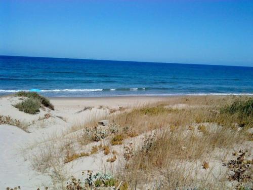 Φωτογραφία από το άλμπουμ του Grazioso monolocale in Sardegna σε Marina di Sorso