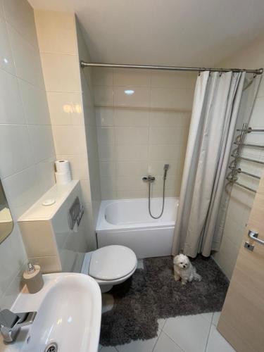 Et badeværelse på Listik Apartments