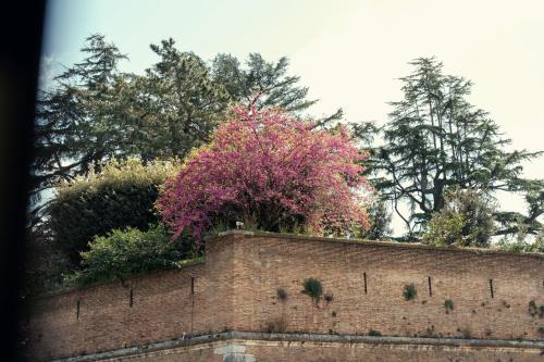 Vatican View Apartment - New Managment 2026