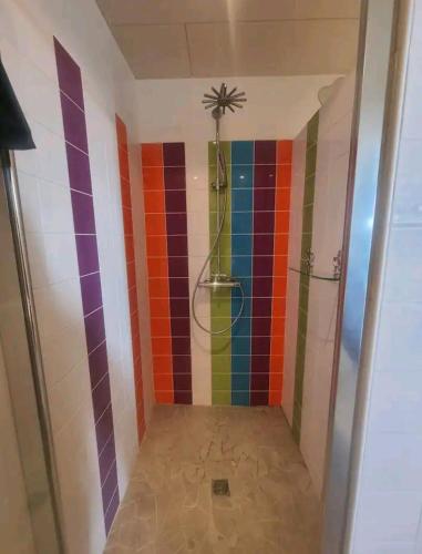 La salle de bains colorée est pourvue d'une douche aux murs arc-en-ciel. dans l'établissement Studio Cosy, jardin privatif, à Genilac