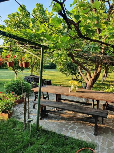 a picnic table under a tree in a park at Къща за гости “Дългая” in Targovishte