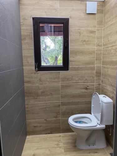 a bathroom with a toilet and a window at Къща за гости “Дългая” in Targovishte