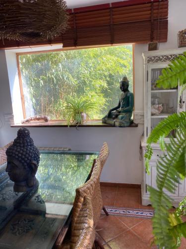 ein Zimmer mit einem Aquarium und einer Statue im Fenster in der Unterkunft El Caliu in Barcelona