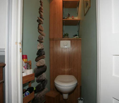 een badkamer met een toilet en een berg stenen bij Jeux olympiques Paris colocation chambre double dans F3 in Parijs