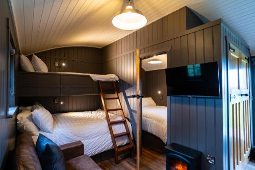 利馬瓦迪的住宿－Cherry Tree Lodge，一间卧室设有两张双层床和梯子