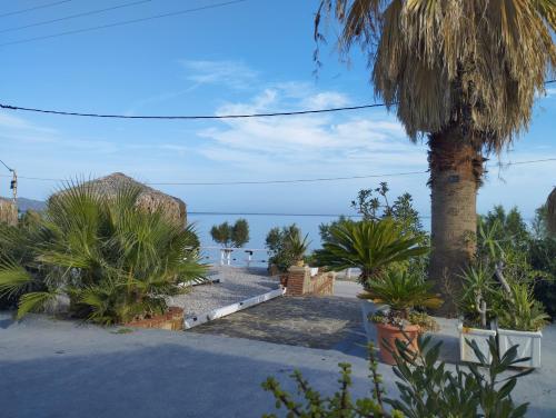 a resort with a palm tree on the beach at ILIOPOULOS Apartments in Mourteri