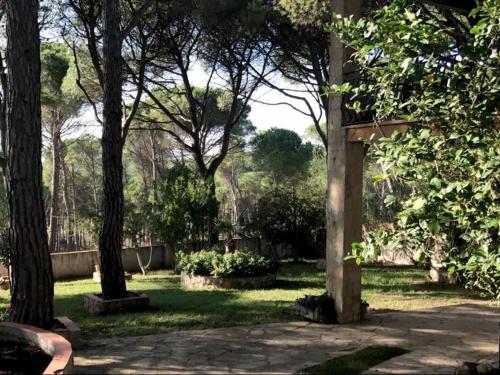 Κήπος έξω από το Casa La Fresca