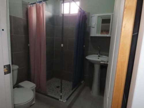 W łazience znajduje się prysznic, toaleta i umywalka. w obiekcie Casa Exploradores w mieście Volcán