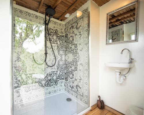 a bathroom with a shower and a sink at Tiny Winey House no 2 in Zennewijnen