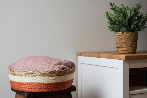 a stool with a plant on top of a table at A Janela do Conforto in Reguengos de Monsaraz