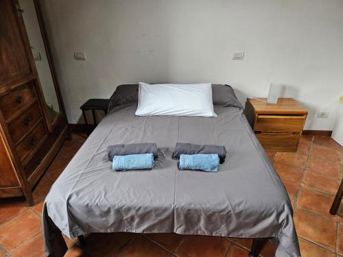 a bed with two blue pillows on it at Casa Elisa e Casa Giuliana a Badalucco in Badalucco