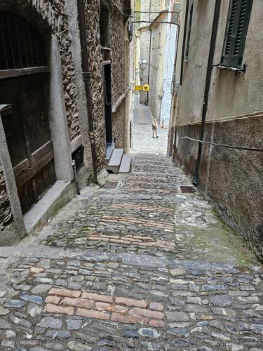 a stone alley with a child walking down the street at Casa Elisa e Casa Giuliana a Badalucco in Badalucco