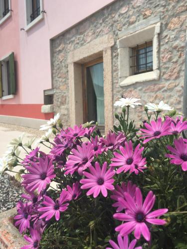 a bunch of purple flowers in front of a building at Agriturismo Corte Marani in Badia Calavena