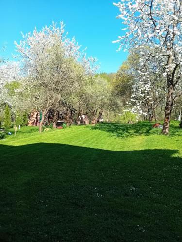 um campo de relva verde com árvores ao fundo em Cazare La Oana em Haţeg