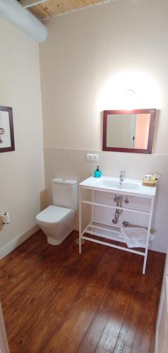 uma casa de banho com um WC, um lavatório e um espelho. em Hostal Camponaraya em Camponaraya