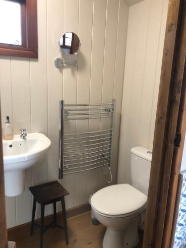 a bathroom with a toilet and a sink at Pooks Rest in Hurst Green