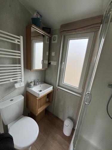 ein kleines Bad mit WC und Waschbecken in der Unterkunft Waldseechalet Julius - Wemding in Wemding