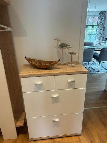 Ostseemöwe NEU photo 13