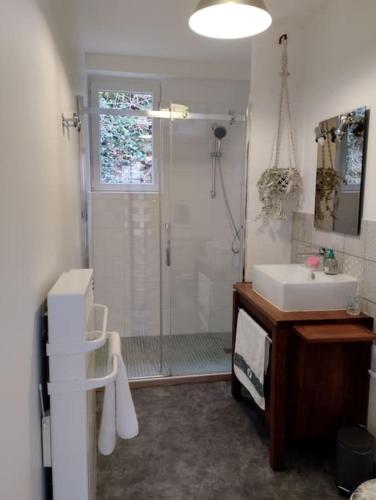 une salle de bain avec douche et lavabo dans l'établissement la JoLie ruche, à Saint-Georges-sur-Cher